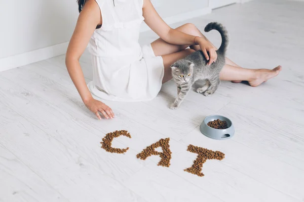 Dívka krmení šedá kočka — Stock fotografie
