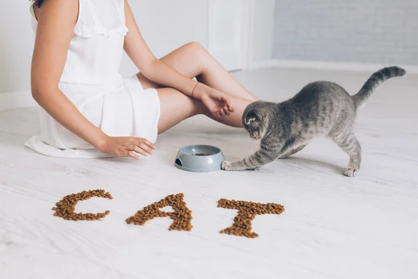 Menina alimentando gato cinza — Fotografia de Stock