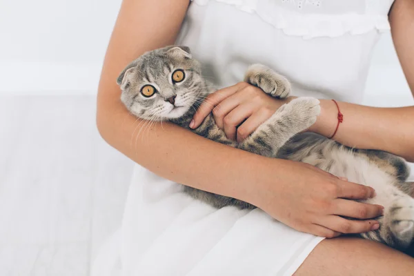 Menina brincando com gato cinza — Fotografia de Stock