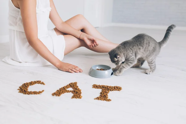 Девочка кормит серого кота — стоковое фото