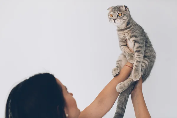 スコティッシュ子猫を持つ女性 — ストック写真
