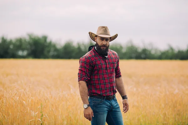 Alandaki sakallı adam