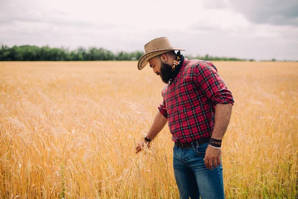 Uomo barbuto in campo — Foto Stock