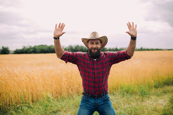 Homem barbudo no campo — Fotografia de Stock