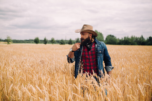 Bearded man in field