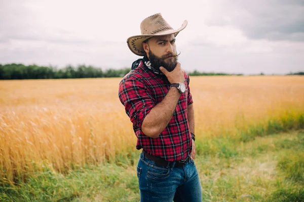 Bearded man in field — Stock Photo, Image