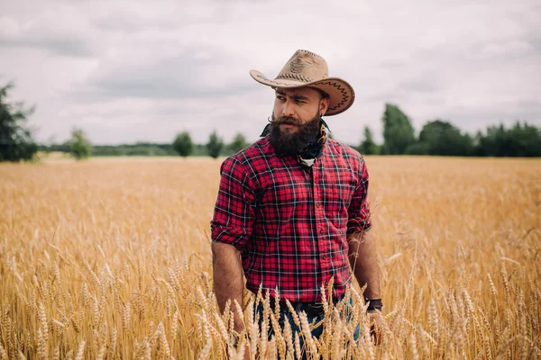 Бородатий чоловік у полі — стокове фото