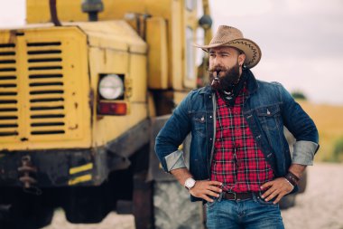 Hasat tarafından sakallı kovboy