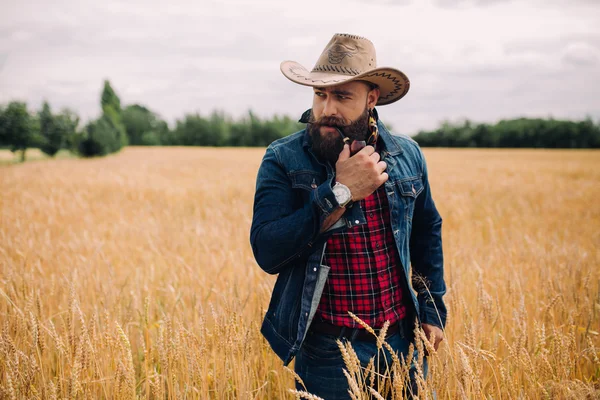 Hombre barbudo en el campo — Foto de Stock