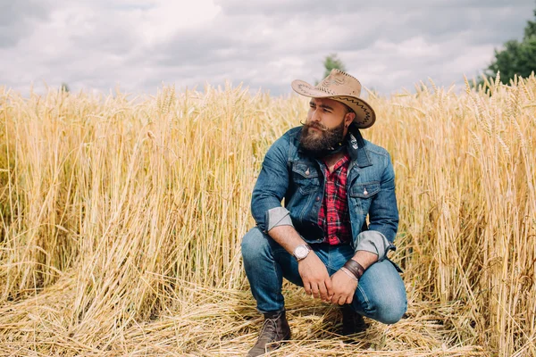 Бородатий чоловік у полі — стокове фото