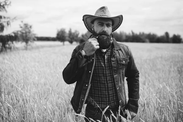 Bearded man in field — Stock Photo, Image