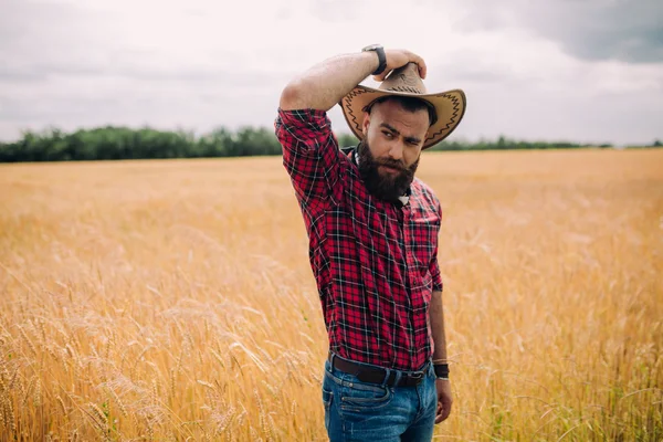 Bearded man in field — Stock Photo, Image