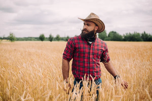 Uomo barbuto in campo — Foto Stock