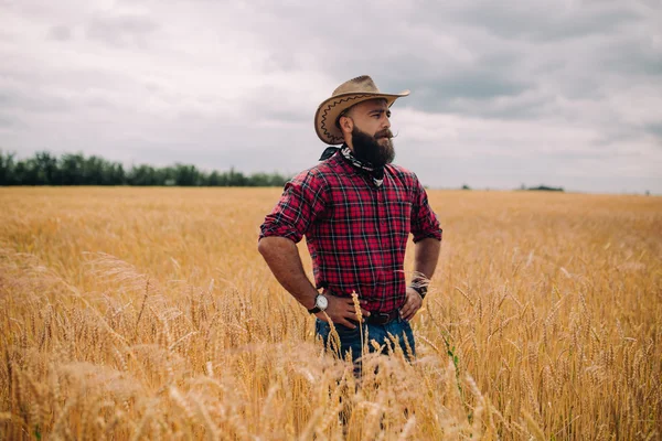 Homem barbudo no campo — Fotografia de Stock