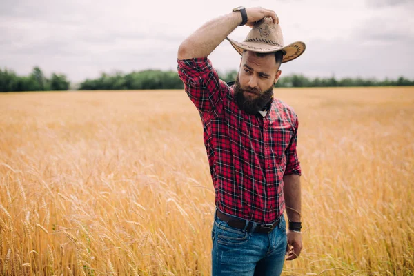 Alandaki sakallı adam