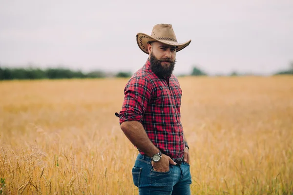 Bearded man in field