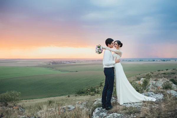 Schönes Paar auf einem Hochzeitsspaziergang — Stockfoto