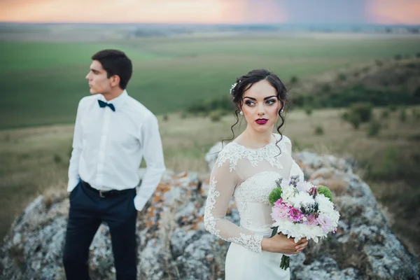 Schönes Paar auf einem Hochzeitsspaziergang — Stockfoto