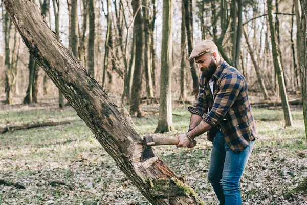 Bebaarde houthakker in het bos — Stockfoto