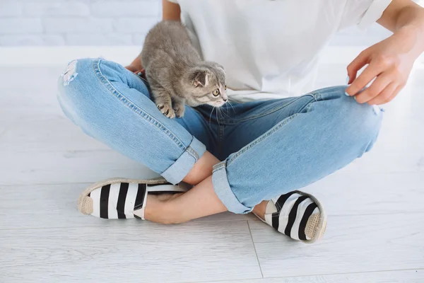Girl playing with grey cat — Stock Photo, Image