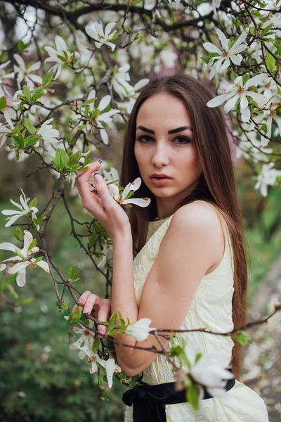 Krásná dívka v blízkosti magnolia — Stock fotografie