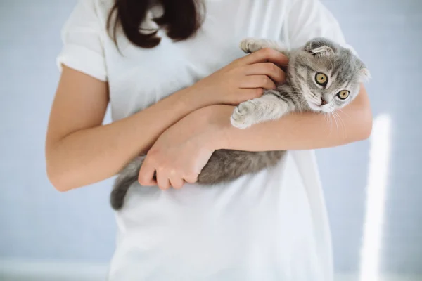 Dívka si hraje s šedá kočka — Stock fotografie