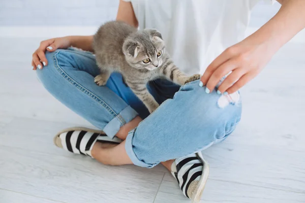 Dívka si hraje s šedá kočka — Stock fotografie
