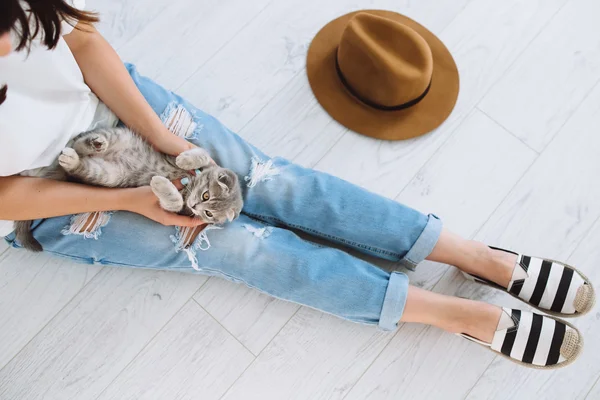 Girl playing with grey cat — Stock Photo, Image