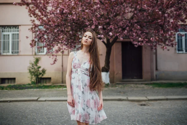 Young woman in dress — Stock Photo, Image