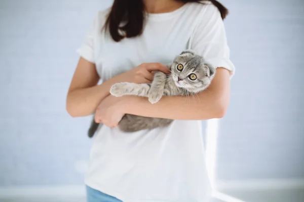 Chica jugando con gato gris — Foto de Stock