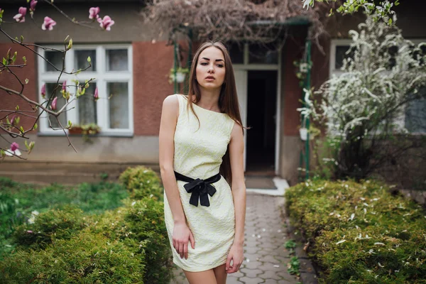 Krásná dívka v blízkosti magnolia — Stock fotografie