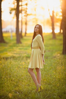 akşam güneş ışığı altında genç kadın