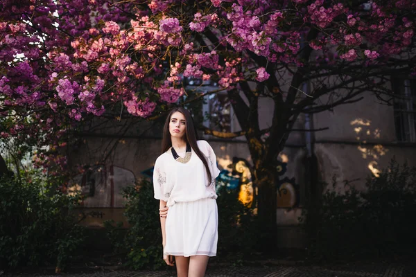 Mladá žena v orientální třešně — Stock fotografie
