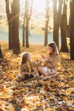 Mutlu anne ve güzel kızı sonbahar parkındaki sarı yaprakların arasında oturup eğleniyorlar..