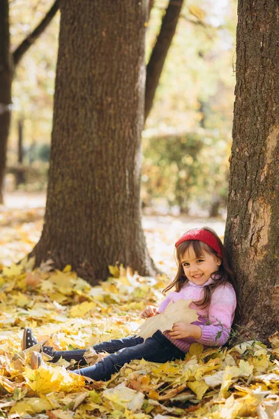 Retrato Uma Menina Feliz Sentada Entre Folhas Outono Amarelas Parque — Fotografia de Stock