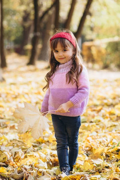 Retrato Uma Menina Feliz Segurando Uma Folha Bordo Parque Outono — Fotografia de Stock