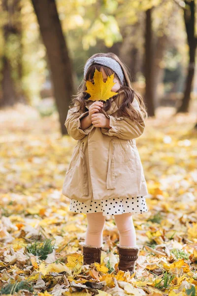 秋天的公园里 穿着米黄色外套 手里拿着一片黄色枫叶的快乐而美丽的小女孩 — 图库照片