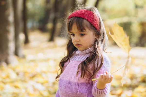 Retrato Uma Menina Feliz Segurando Uma Folha Bordo Parque Outono — Fotografia de Stock