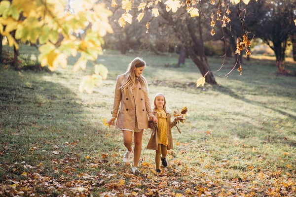 Mãe Feliz Sua Linda Filha Divertem Caminham Parque Outono — Fotografia de Stock