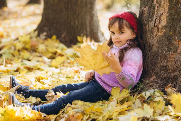 Retrato Uma Menina Feliz Sentada Entre Folhas Outono Amarelas Parque — Fotografia de Stock