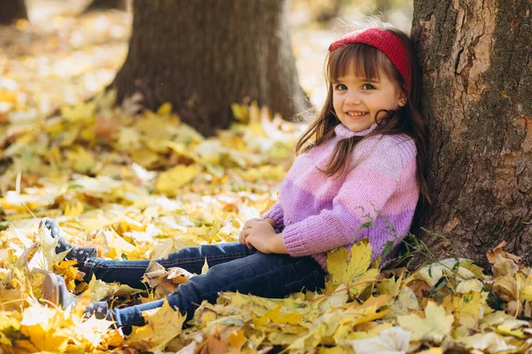 Retrato Una Niña Feliz Sentada Entre Las Hojas Amarillas Del —  Fotos de Stock