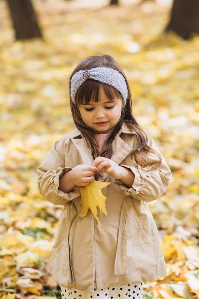 Menina Feliz Bonita Casaco Bege Segurando Uma Folha Bordo Amarelo — Fotografia de Stock