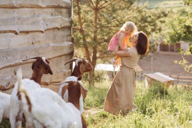 Bir anne ve onun güzel ve kıvırcık kızı bir eko çiftliğinde keçi otlatıyorlar.