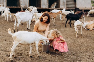 Mutlu anne ve kızı keçilerin arasında bir eko çiftliğinde vakit geçiriyorlar..