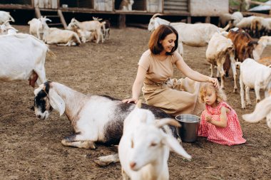 Mutlu anne ve kızı keçilerin arasında bir eko çiftliğinde vakit geçiriyorlar..