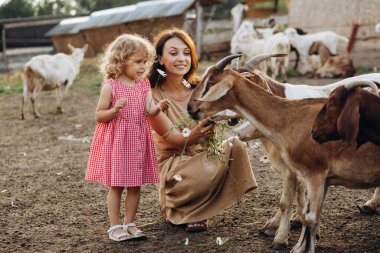 Mutlu anne ve kızı bir eko çiftliğinde keçileri besliyor..