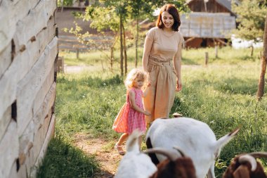 Bir anne ve onun güzel ve kıvırcık kızı bir eko çiftliğinde keçi otlatıyorlar.
