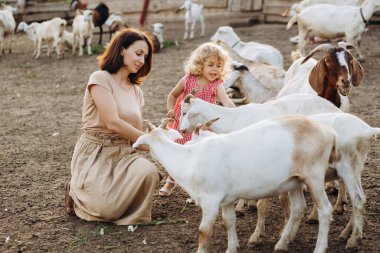 Mutlu anne ve kızı bir eko çiftliğinde keçileri besliyor..