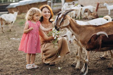 Mutlu anne ve kızı bir eko çiftliğinde keçileri besliyor..