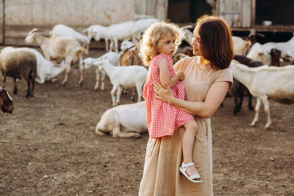 어머니와 염소들이 친환경 농장에서 시간을 보낸다 — 스톡 사진